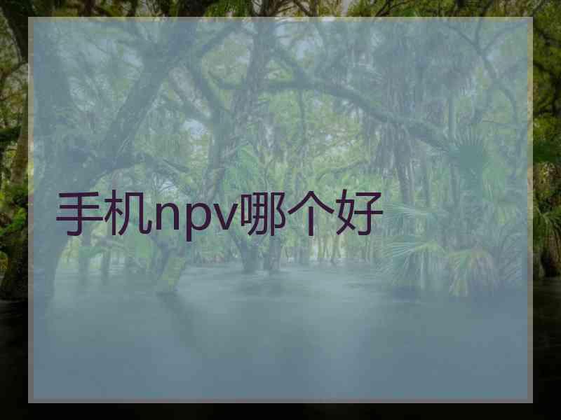 手机npv哪个好