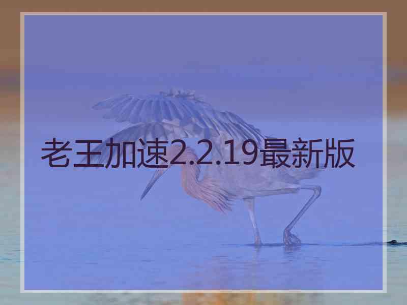 老王加速2.2.19最新版