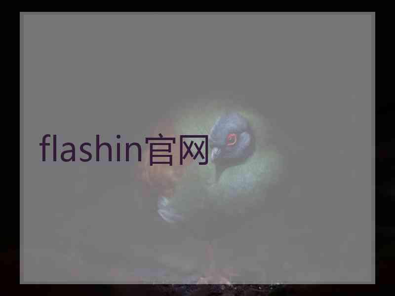 flashin官网