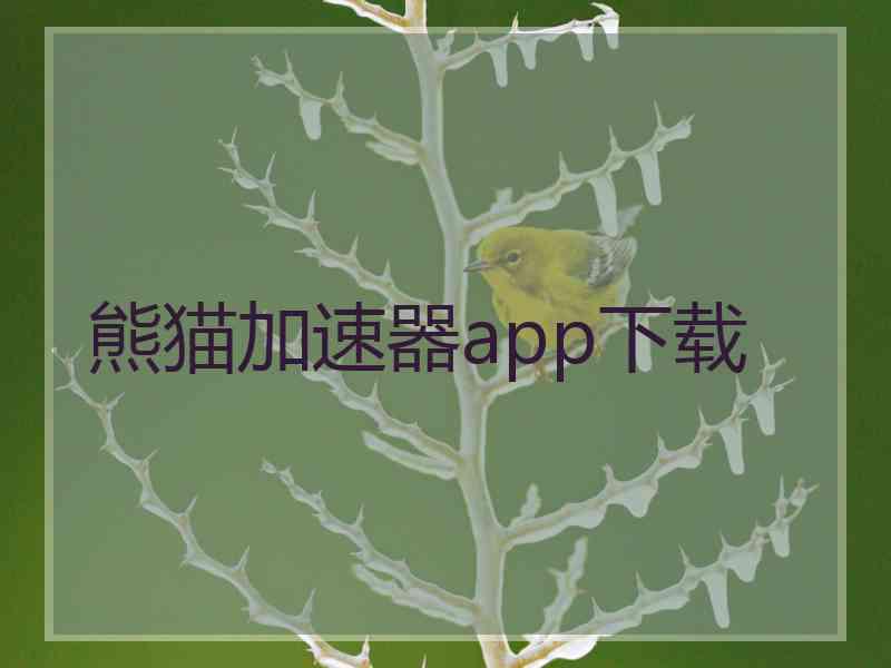 熊猫加速器app下载