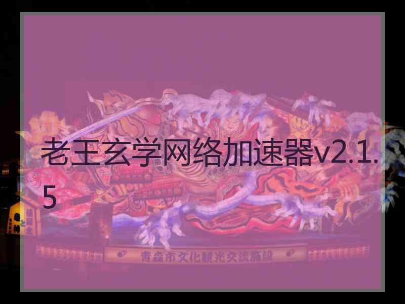 老王玄学网络加速器v2.1.5