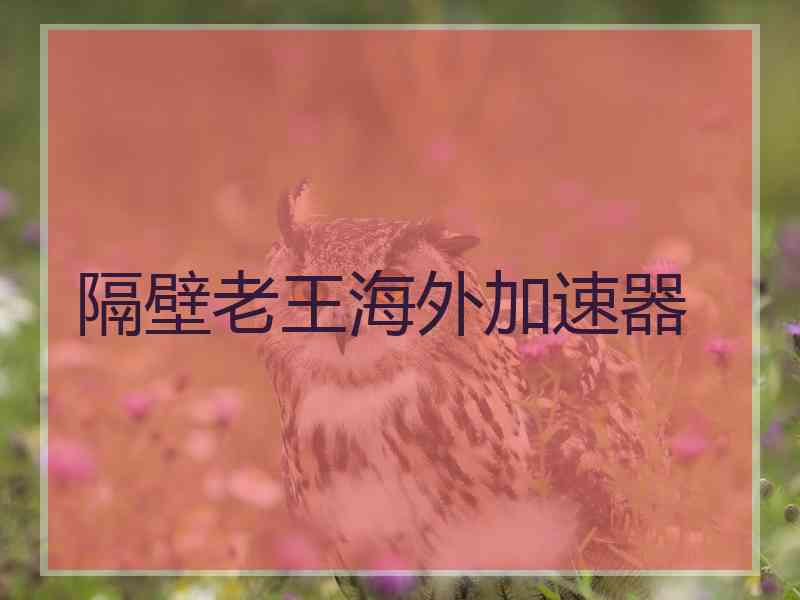 隔壁老王海外加速器