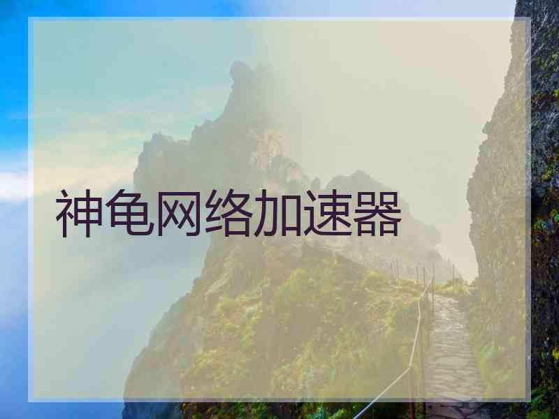 神龟网络加速器