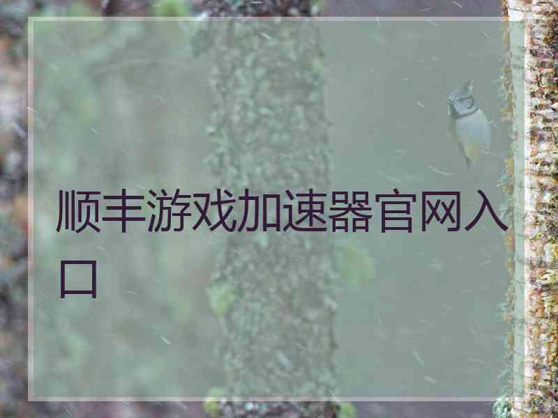 顺丰游戏加速器官网入口