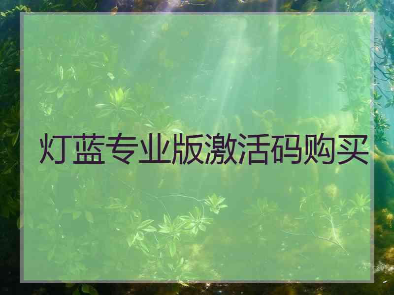 灯蓝专业版激活码购买
