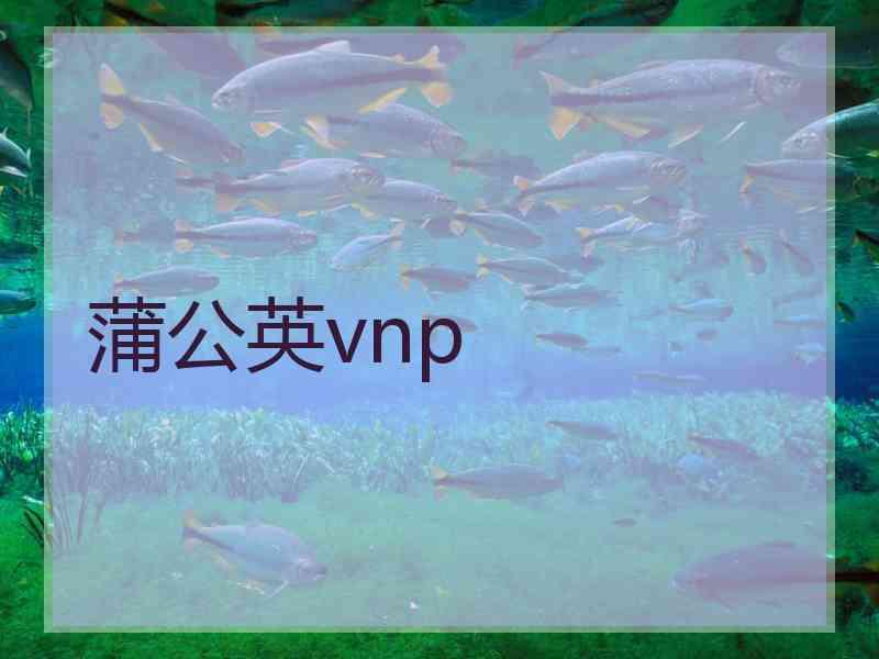 蒲公英vnp