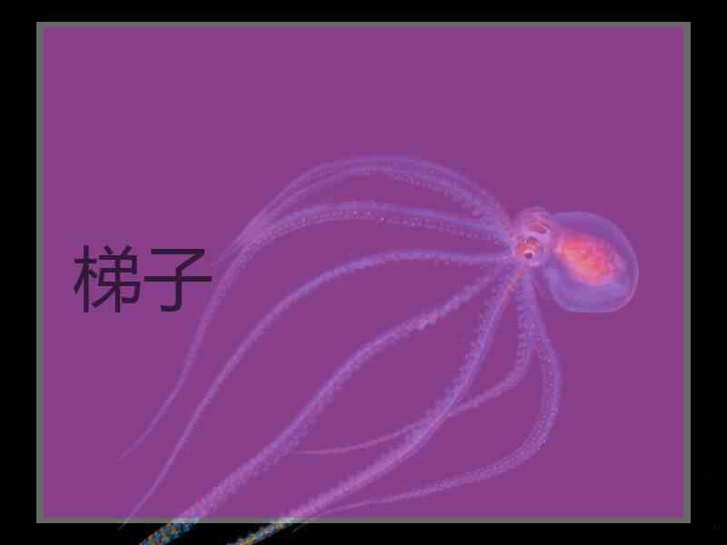 梯子