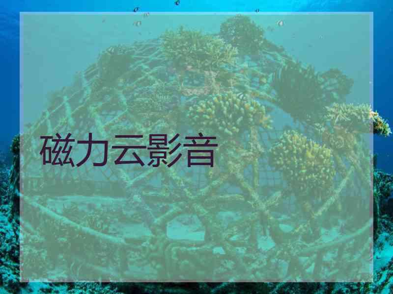 磁力云影音