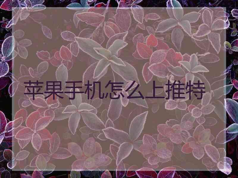 苹果手机怎么上推特