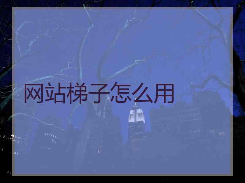 网站梯子怎么用