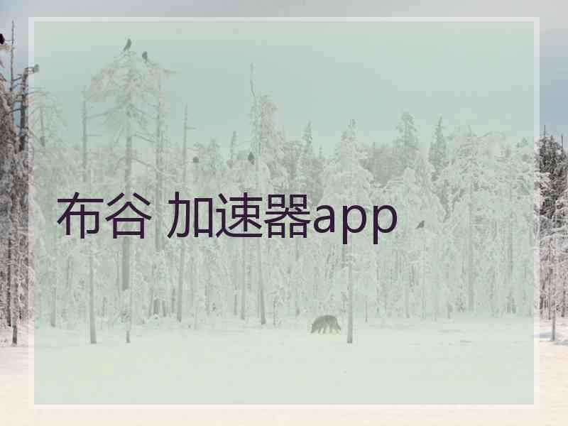 布谷 加速器app