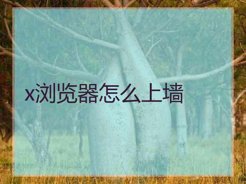 x浏览器怎么上墙