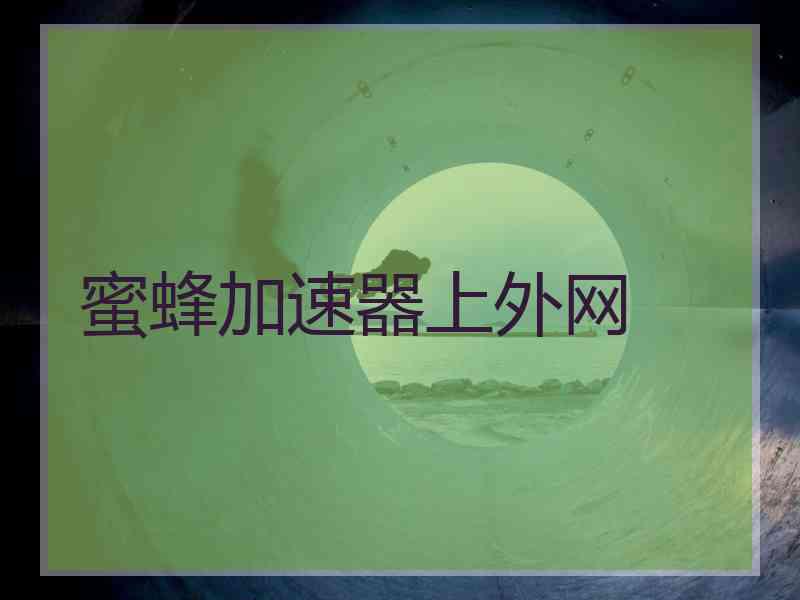 蜜蜂加速器上外网