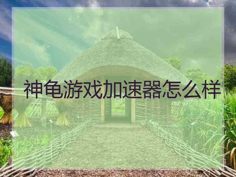 神龟游戏加速器怎么样