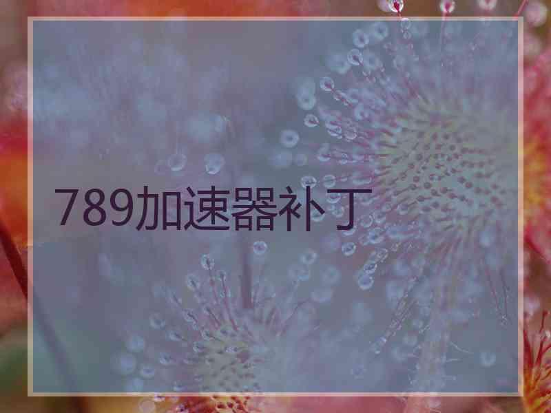 789加速器补丁