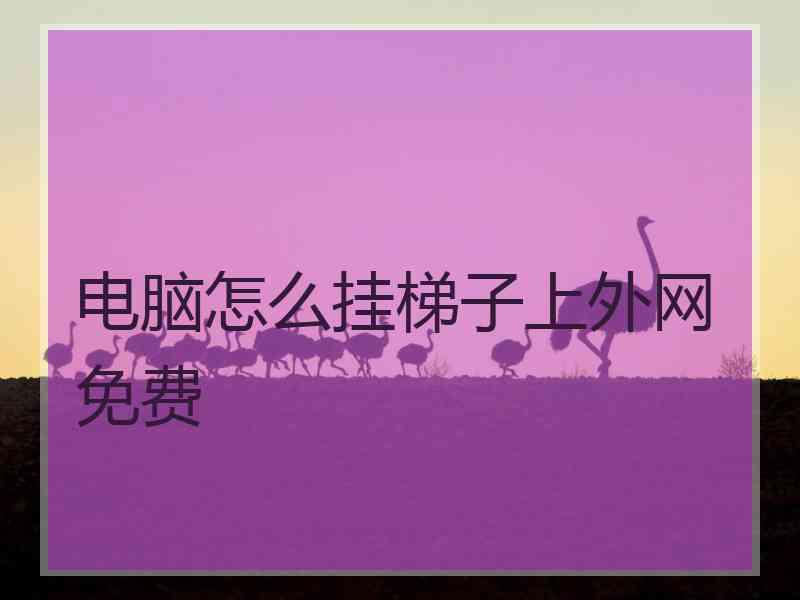 电脑怎么挂梯子上外网免费