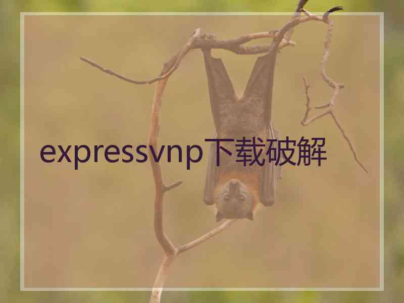 expressvnp下载破解