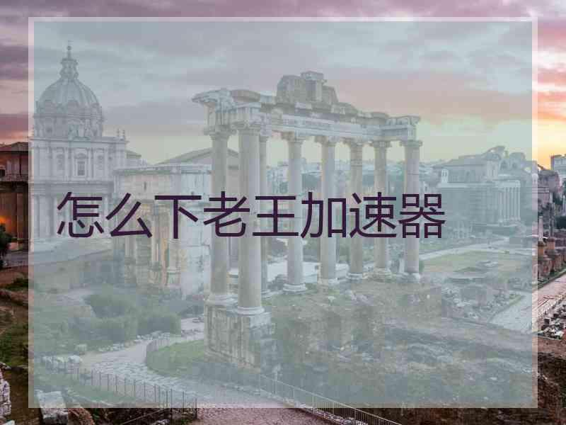 怎么下老王加速器