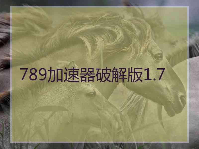 789加速器破解版1.7