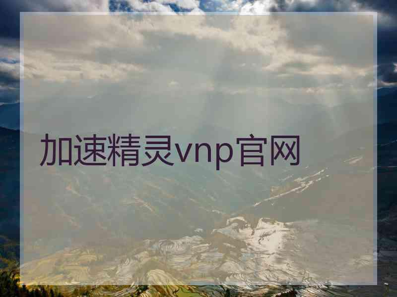 加速精灵vnp官网