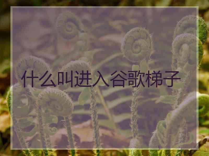 什么叫进入谷歌梯子