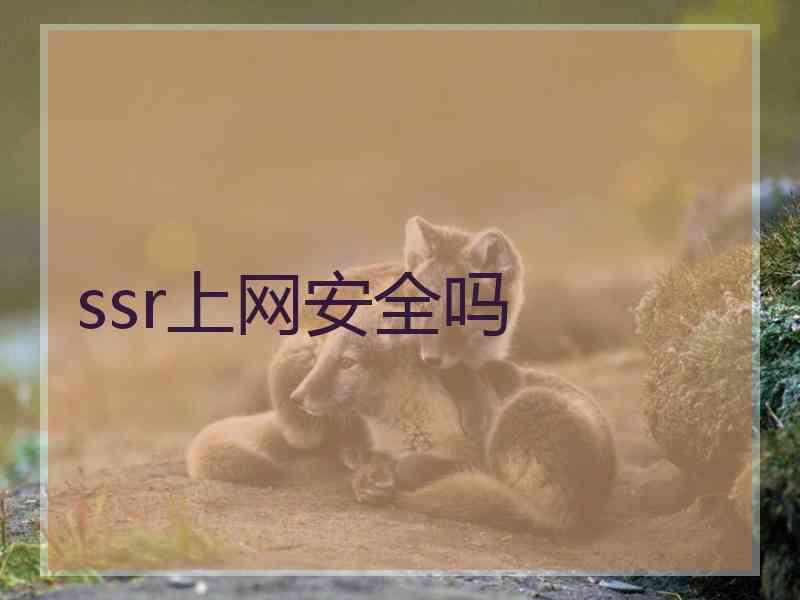 ssr上网安全吗