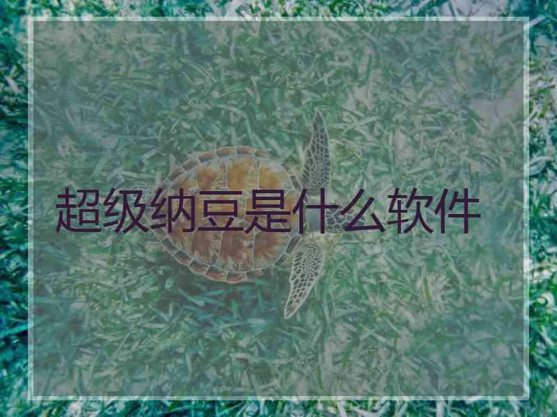 超级纳豆是什么软件