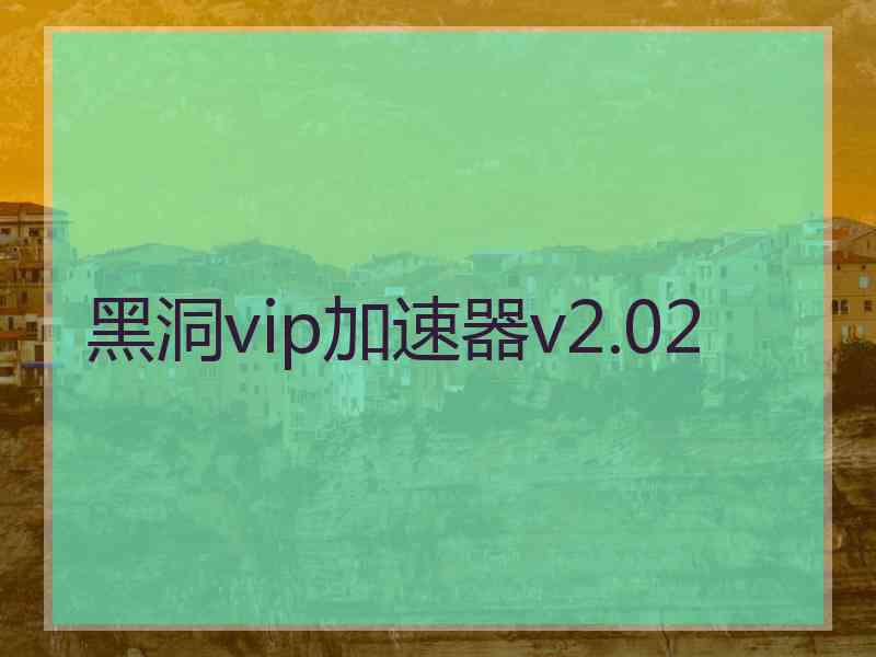 黑洞vip加速器v2.02