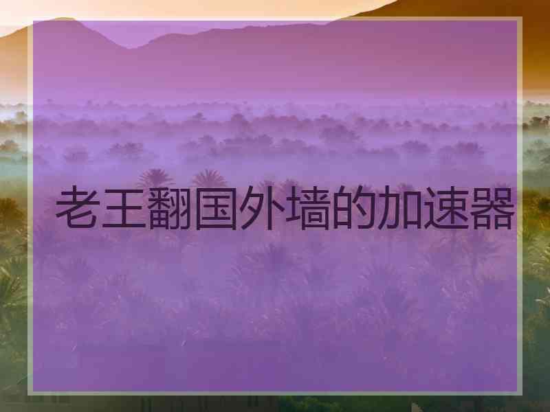 老王翻国外墙的加速器