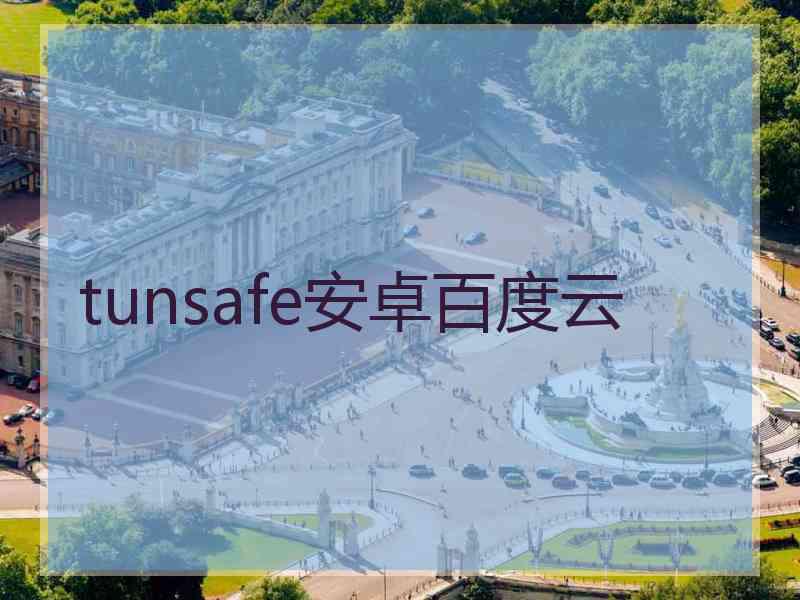 tunsafe安卓百度云