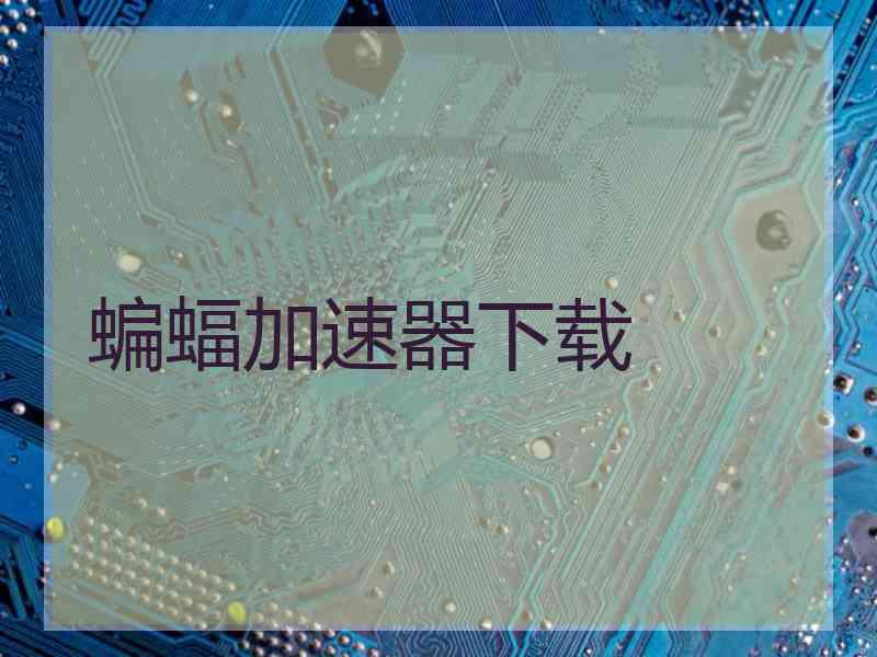 蝙蝠加速器下载