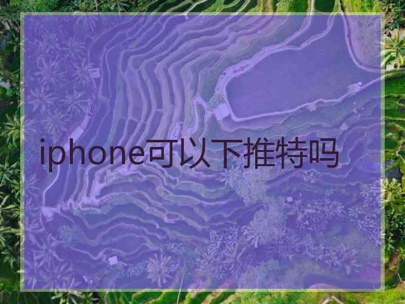 iphone可以下推特吗