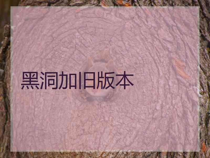 黑洞加旧版本