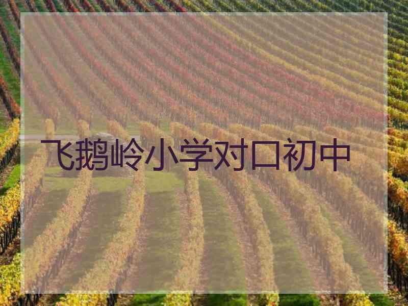 飞鹅岭小学对口初中