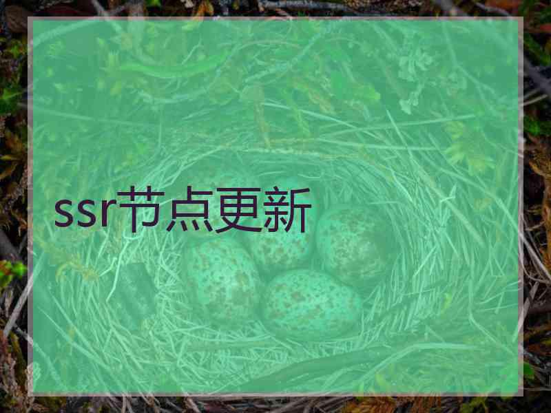 ssr节点更新
