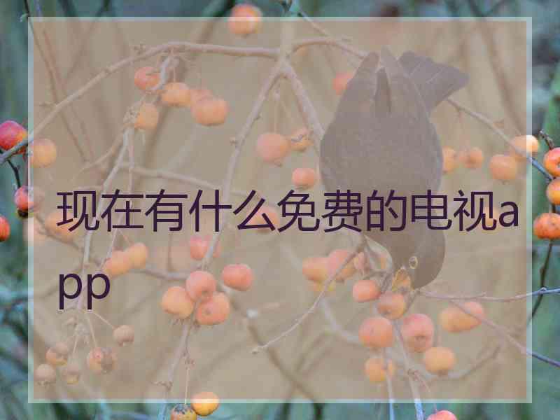 现在有什么免费的电视app
