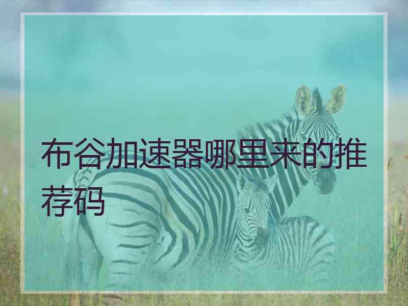 布谷加速器哪里来的推荐码