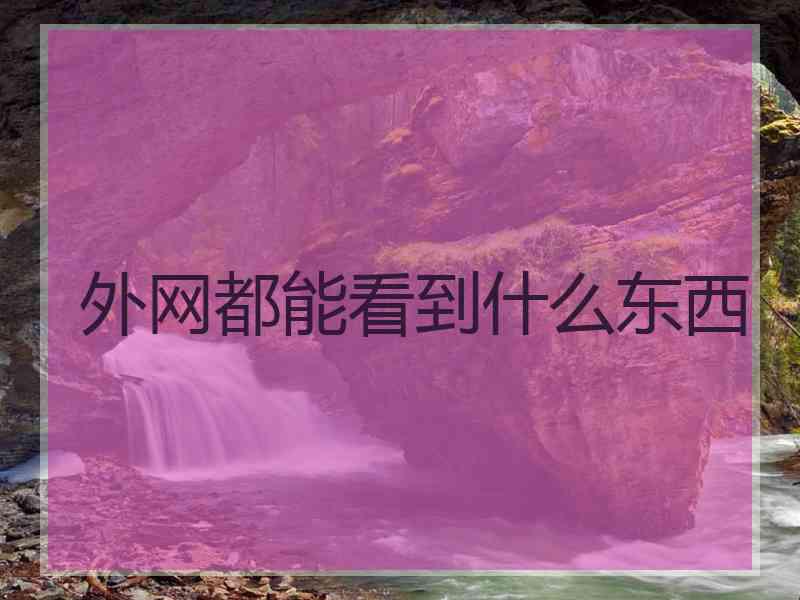 外网都能看到什么东西