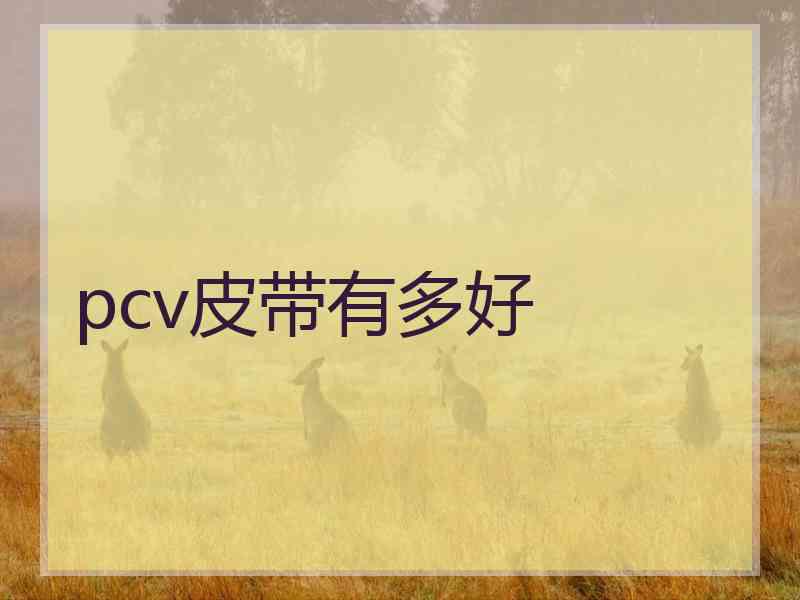 pcv皮带有多好