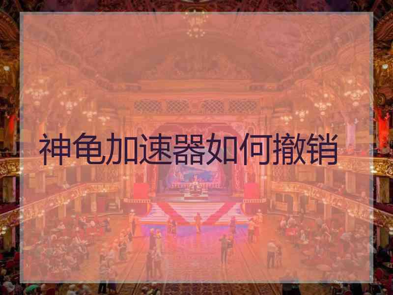 神龟加速器如何撤销