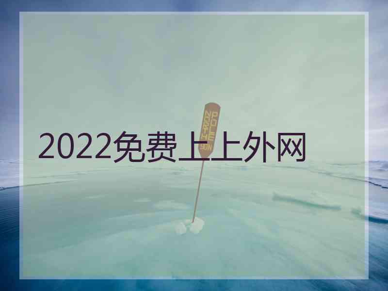 2022免费上上外网