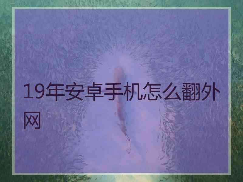 19年安卓手机怎么翻外网