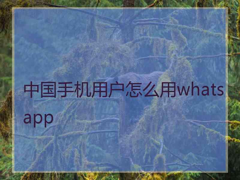 中国手机用户怎么用whatsapp