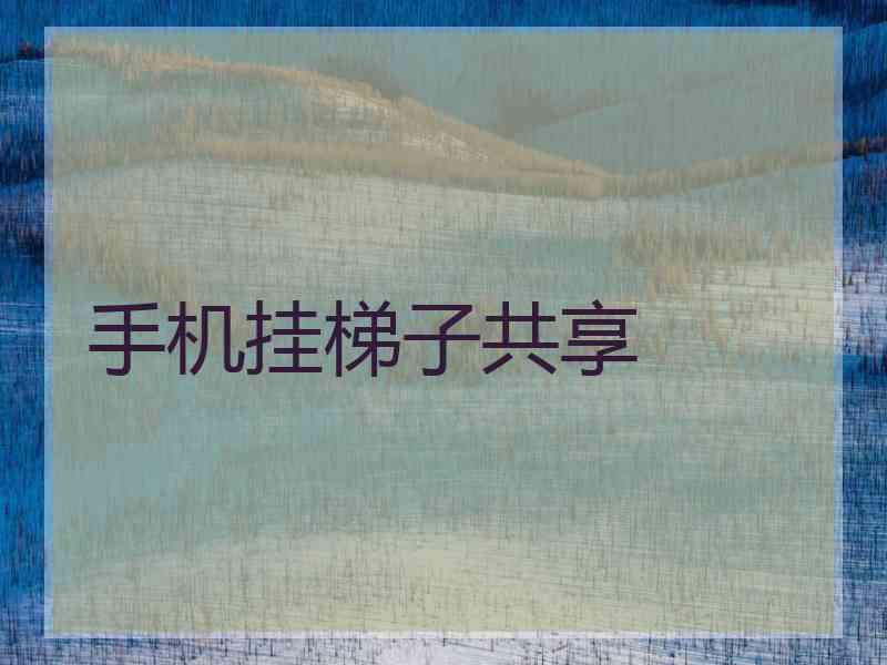 手机挂梯子共享