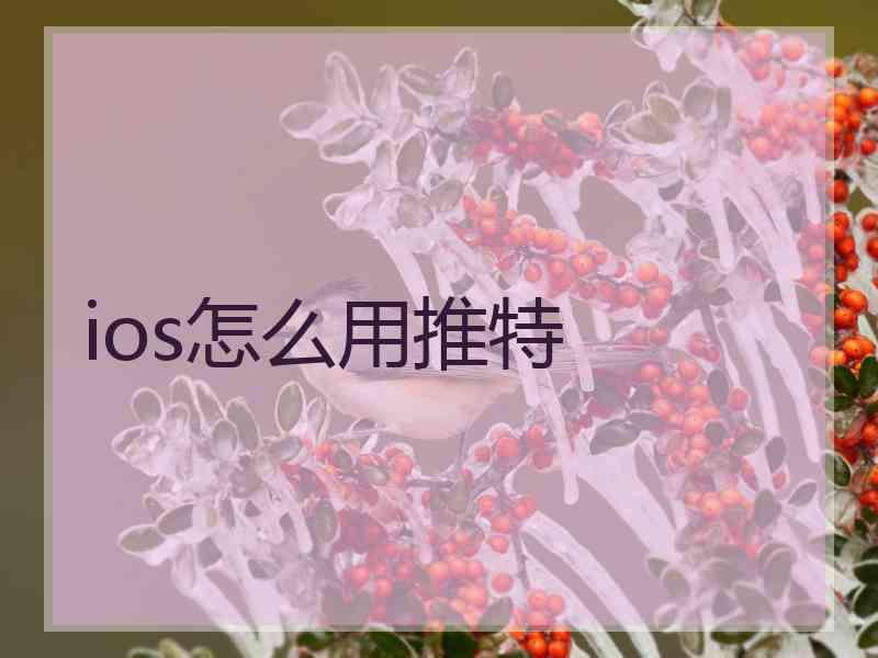 ios怎么用推特