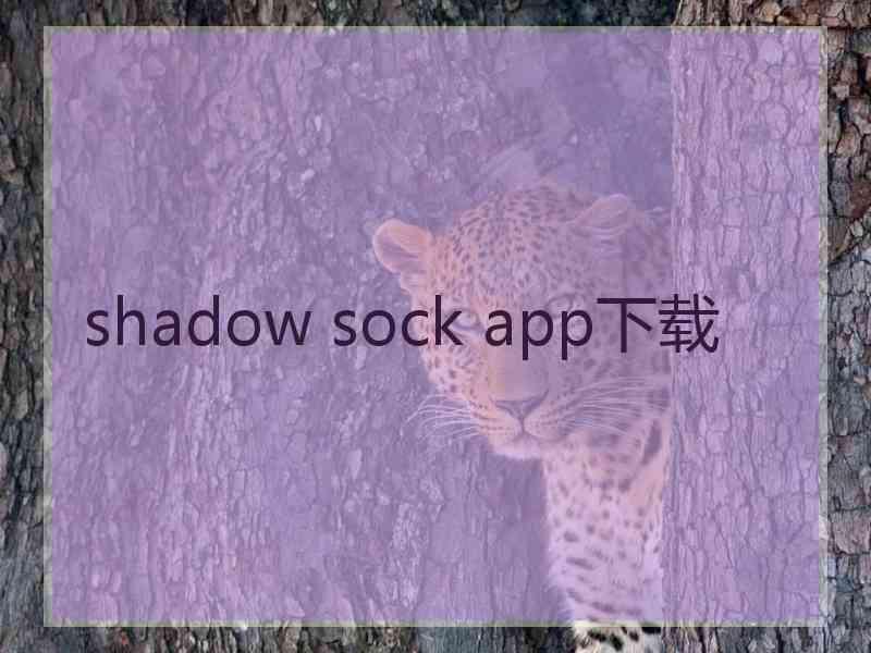 shadow sock app下载