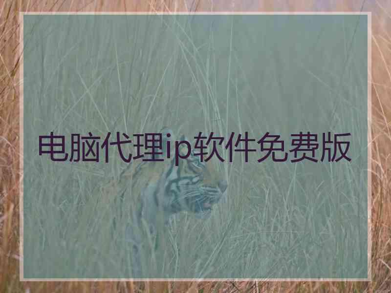电脑代理ip软件免费版
