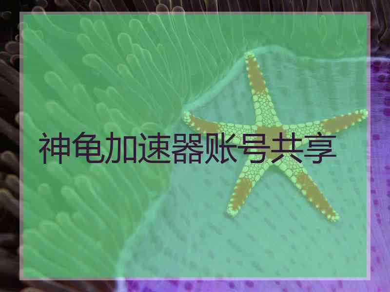 神龟加速器账号共享