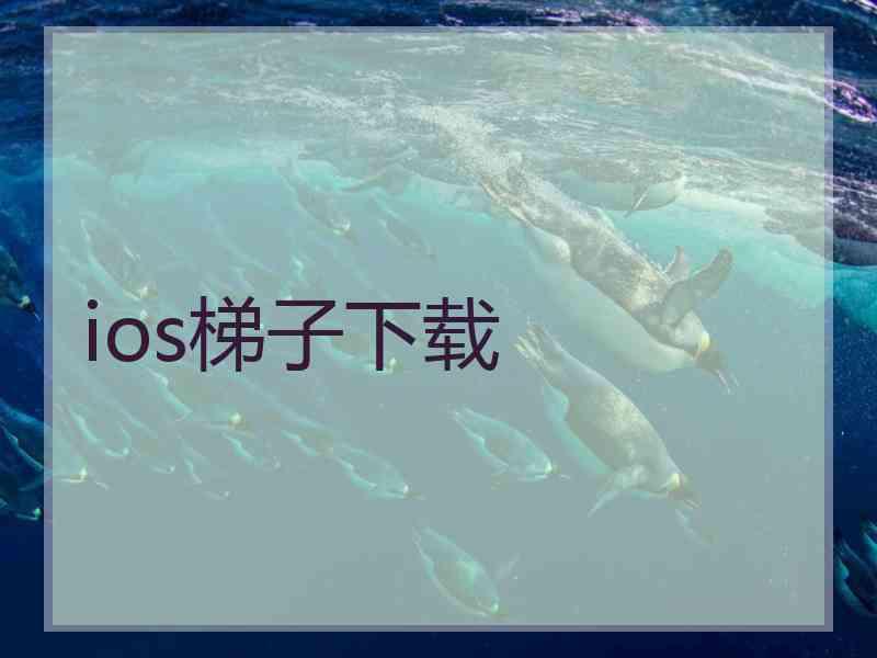 ios梯子下载