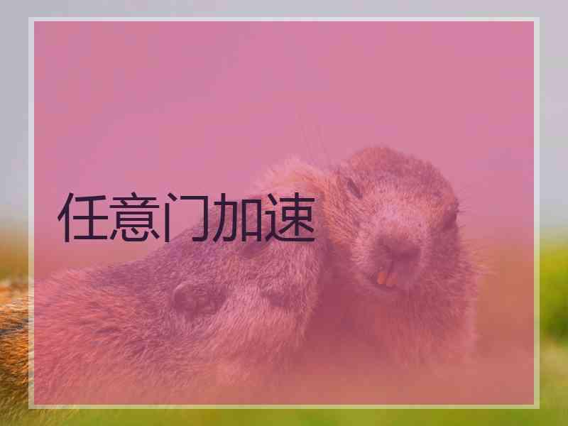 任意门加速